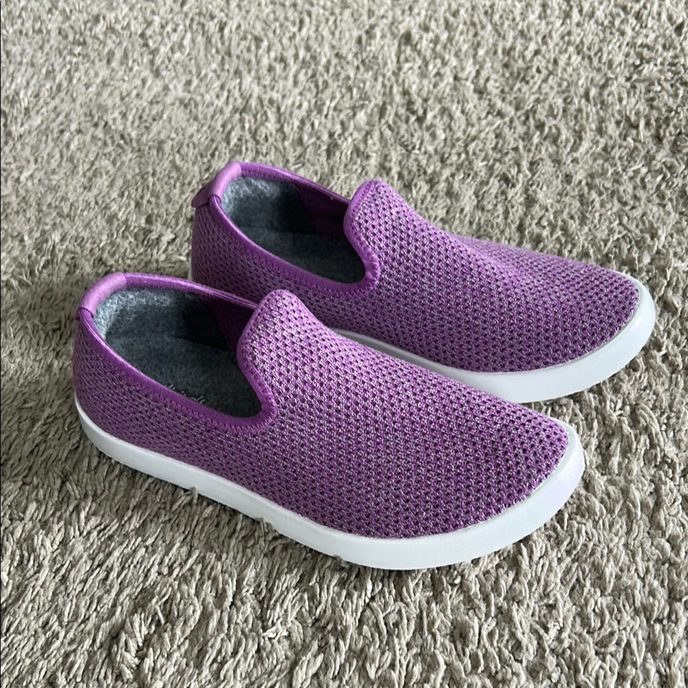 Allbirds Tree Loungers